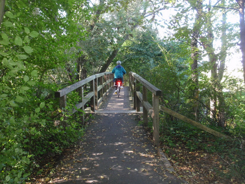 Terry crossing a trail bridge.